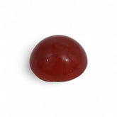 Coral - लाल मूंगा (Laal Moonga) | 4.4 ct from Japan | Certified Loose Gemstone for Astrology & Jewelry